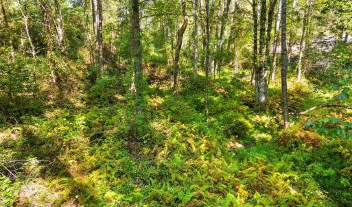 Photo #21 of CABIN BRANCH ROAD, MARSHALL, VA 3.0 acres