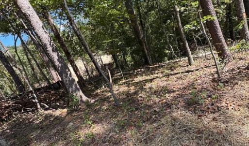 Photo #11 of CABIN BRANCH ROAD, MARSHALL, VA 3.0 acres