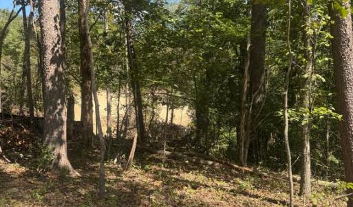 Photo #13 of CABIN BRANCH ROAD, MARSHALL, VA 3.0 acres