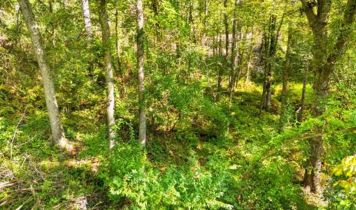 Photo #18 of CABIN BRANCH ROAD, MARSHALL, VA 3.0 acres