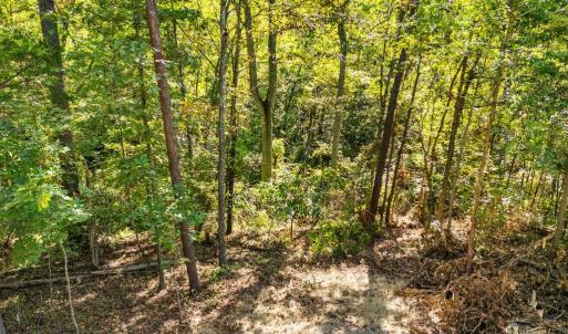 Photo #22 of CABIN BRANCH ROAD, MARSHALL, VA 3.0 acres