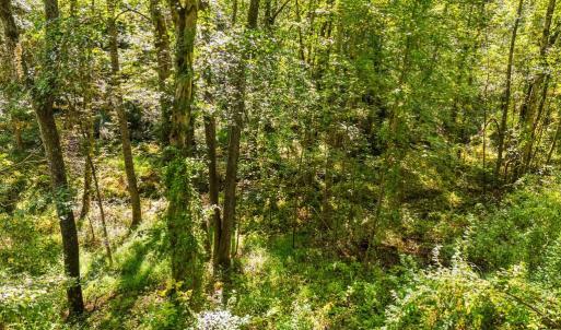 Photo #23 of CABIN BRANCH ROAD, MARSHALL, VA 3.0 acres