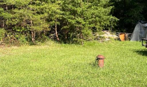 Photo #5 of 17464 EXECUTIVE LN, CULPEPER, VA 9.0 acres