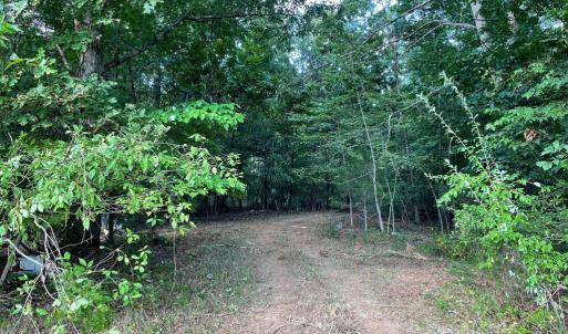 Photo #3 of 17464 EXECUTIVE LN, CULPEPER, VA 9.0 acres