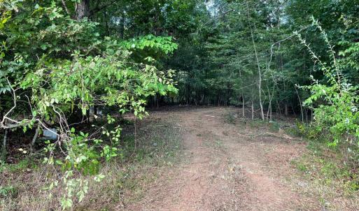 Photo #4 of 17464 EXECUTIVE LN, CULPEPER, VA 9.0 acres