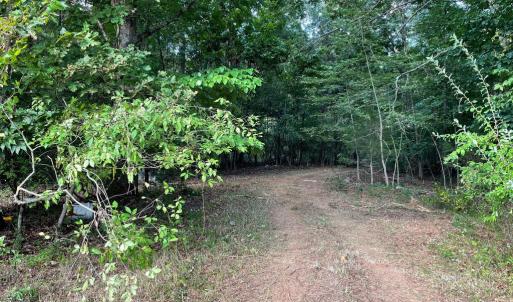 Photo #7 of 17464 EXECUTIVE LN, CULPEPER, VA 9.0 acres
