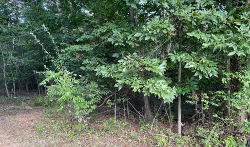 Photo #18 of 17464 EXECUTIVE LN, CULPEPER, VA 9.0 acres