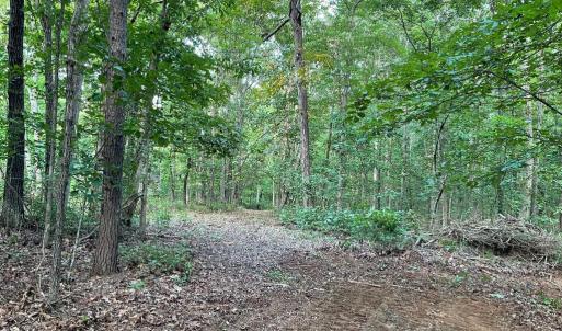 Photo #19 of 17464 EXECUTIVE LN, CULPEPER, VA 9.0 acres