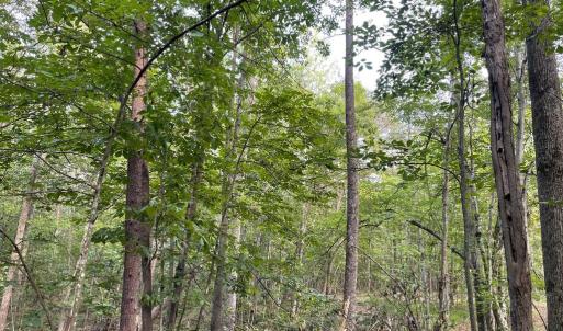 Photo #20 of 17464 EXECUTIVE LN, CULPEPER, VA 9.0 acres