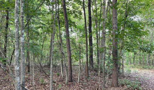 Photo #21 of 17464 EXECUTIVE LN, CULPEPER, VA 9.0 acres