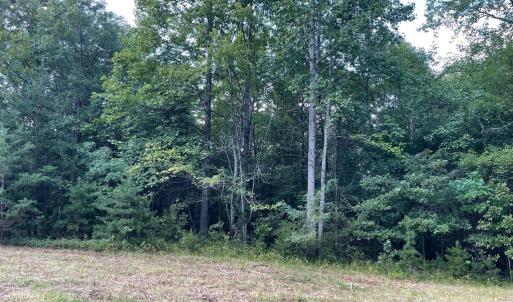 Photo #1 of 17464 EXECUTIVE LN, CULPEPER, VA 9.0 acres