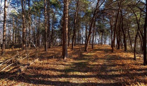 Photo #3 of 8 PROMISE LN, STANLEY, VA 6.3 acres