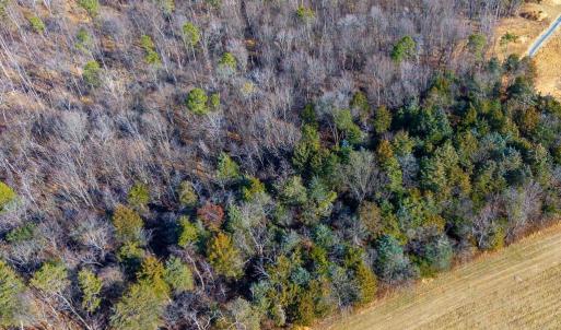 Photo #10 of 8 PROMISE LN, STANLEY, VA 6.3 acres