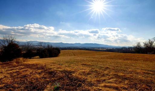 Photo #12 of 8 PROMISE LN, STANLEY, VA 6.3 acres