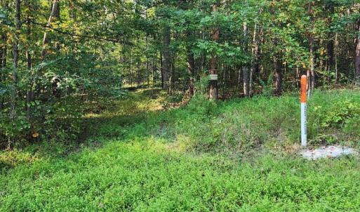 Photo #6 of LEES CT, LOCUST GROVE, VA 10.5 acres