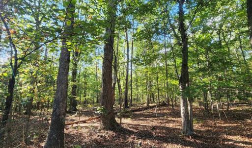 Photo #8 of LEES CT, LOCUST GROVE, VA 10.5 acres