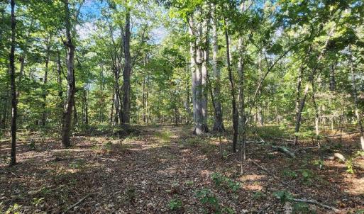 Photo #9 of LEES CT, LOCUST GROVE, VA 10.5 acres