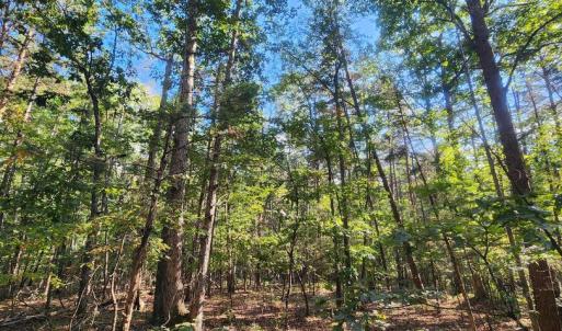 Photo #10 of LEES CT, LOCUST GROVE, VA 10.5 acres