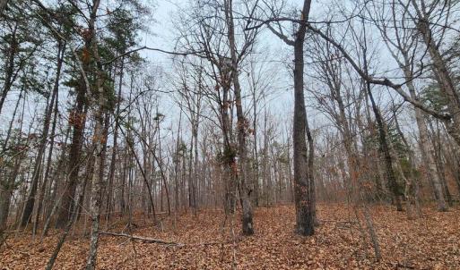 Photo #13 of LEES CT, LOCUST GROVE, VA 10.5 acres