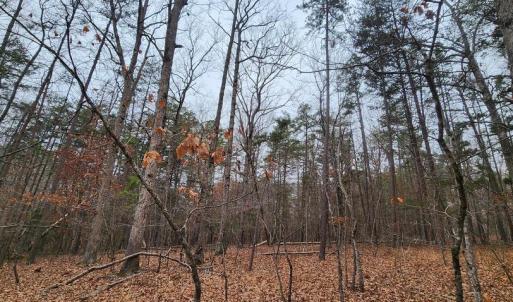 Photo #14 of LEES CT, LOCUST GROVE, VA 10.5 acres