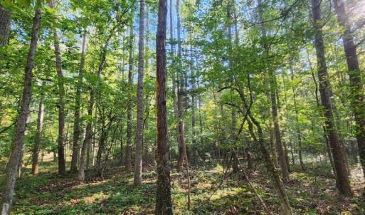 Photo #11 of LEES CT, LOCUST GROVE, VA 10.5 acres