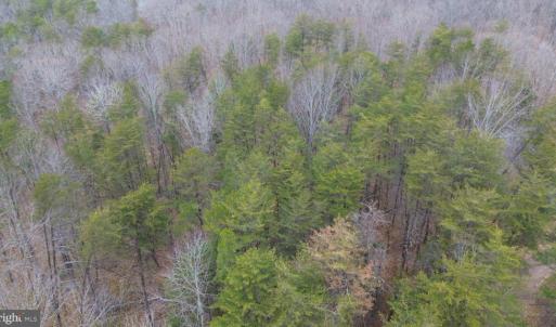 Photo #3 of LEES CT, LOCUST GROVE, VA 10.5 acres