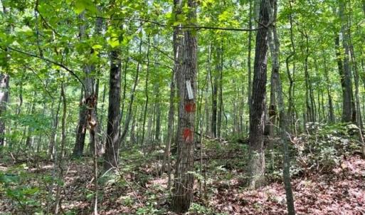 Photo #2 of 2016 VAUGHN SUMMIT RD, LURAY, VA 7.7 acres