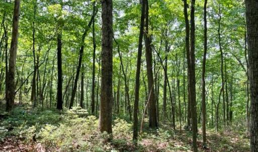 Photo #4 of 2016 VAUGHN SUMMIT RD, LURAY, VA 7.7 acres