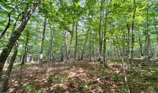 Photo #6 of 2016 VAUGHN SUMMIT RD, LURAY, VA 7.7 acres