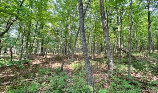 Photo #7 of 2016 VAUGHN SUMMIT RD, LURAY, VA 7.7 acres