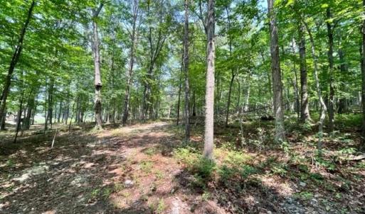 Photo #8 of 2016 VAUGHN SUMMIT RD, LURAY, VA 7.7 acres