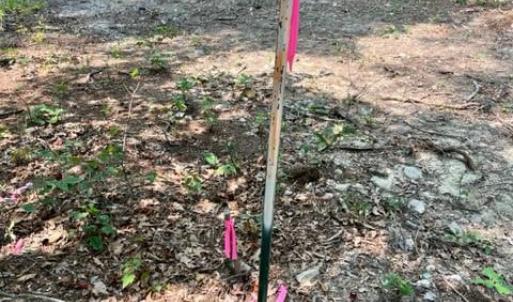 Photo #9 of 2016 VAUGHN SUMMIT RD, LURAY, VA 7.7 acres