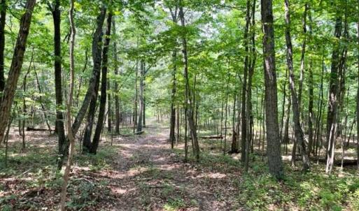 Photo #10 of 2016 VAUGHN SUMMIT RD, LURAY, VA 7.7 acres