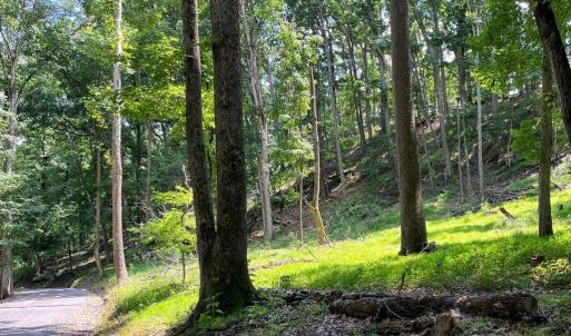 Photo #14 of 12 GALLOWAY SPRING LN, SHENANDOAH, VA 22.4 acres