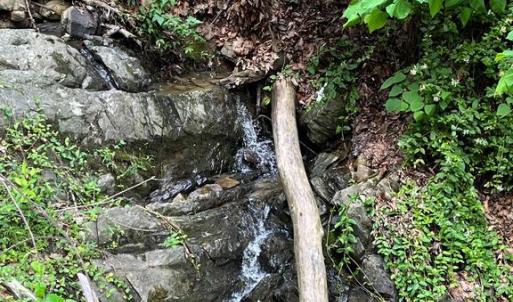 Photo #15 of 12 GALLOWAY SPRING LN, SHENANDOAH, VA 22.4 acres