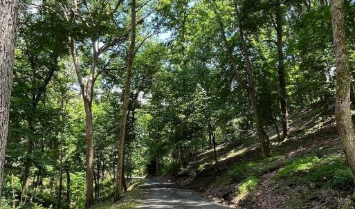 Photo #12 of 12 GALLOWAY SPRING LN, SHENANDOAH, VA 22.4 acres