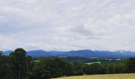 Photo #9 of 12 GALLOWAY SPRING LN, SHENANDOAH, VA 22.4 acres