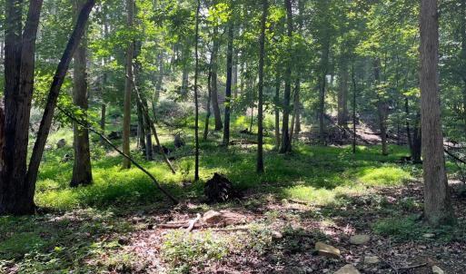 Photo #11 of 12 GALLOWAY SPRING LN, SHENANDOAH, VA 22.4 acres