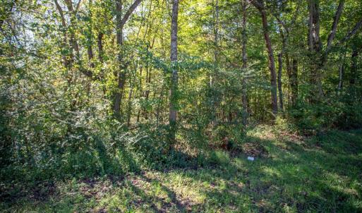 Photo #3 of  3.0 acres