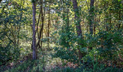 Photo #5 of  3.0 acres