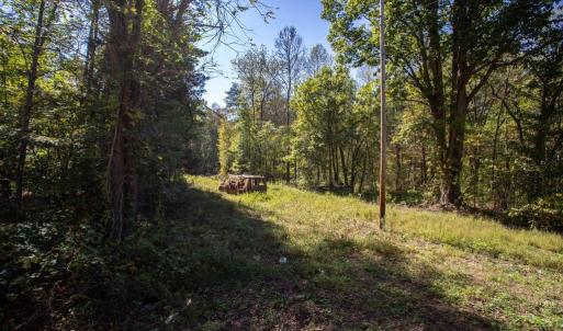 Photo #11 of  3.0 acres