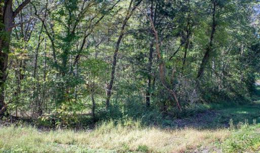 Photo #12 of  3.0 acres