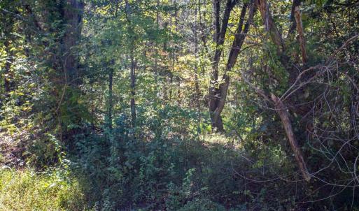 Photo #15 of  3.0 acres