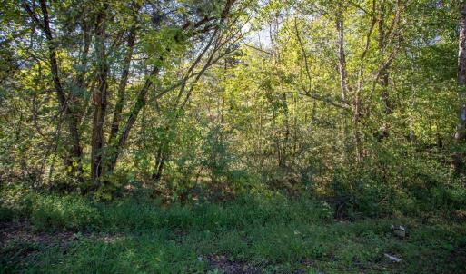 Photo #16 of  3.0 acres