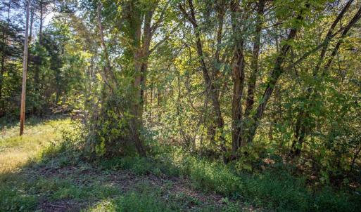 Photo #17 of  3.0 acres