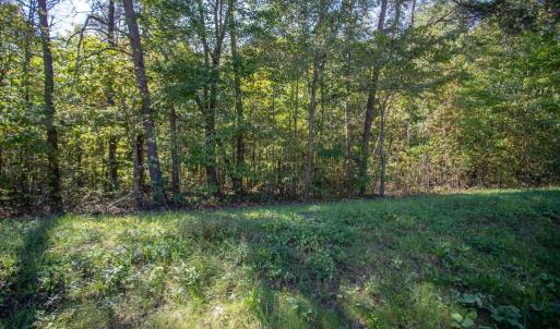 Photo #26 of  3.0 acres