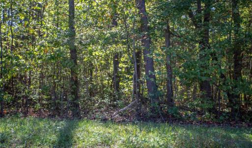 Photo #27 of  3.0 acres