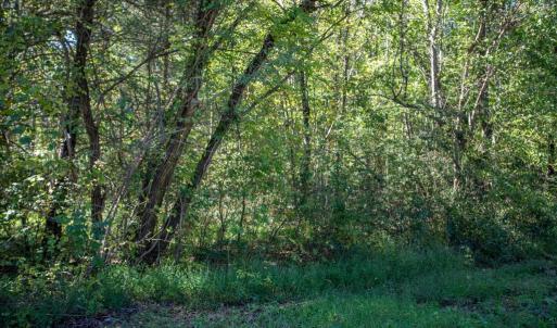 Photo #10 of  3.0 acres