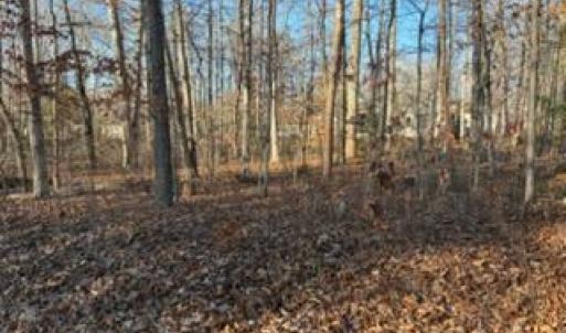 Photo #2 of 201 CUMBERLAND CIR, LOCUST GROVE, VA 0.3 acres