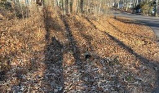 Photo #4 of 201 CUMBERLAND CIR, LOCUST GROVE, VA 0.3 acres